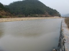 甲级监理公司浅析堤防除险加固的前期工作