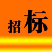 专业的招标代理公司为你论述必须招标的项目及范围