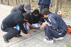 专业的工程监理公司解读现场施工的放线经验