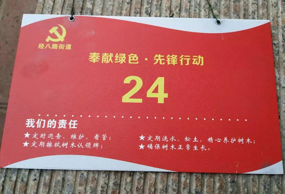 建基咨询党支部植树活动