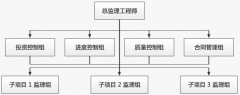 职能制监理组织形式