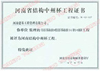鼎立国际城A地块工程监理