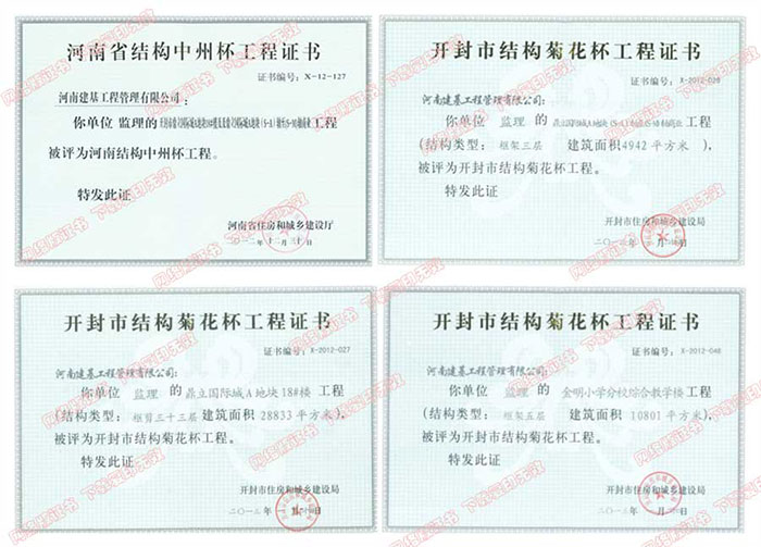 鼎立国际城工程监理项目获奖证书