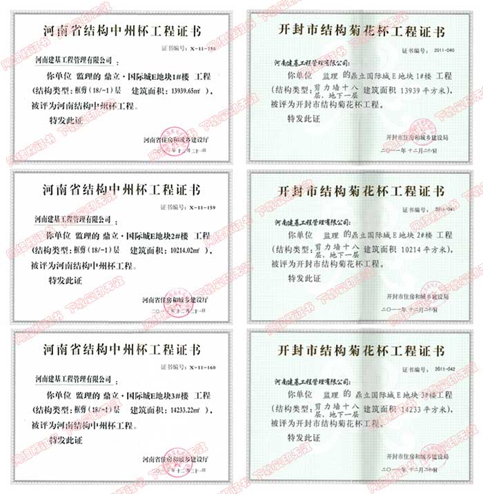 鼎立国际城E地块工程监理项目获奖证书