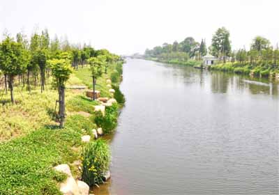 监理市场